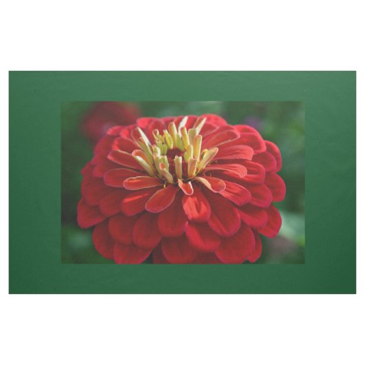 Tissu Zinnia rouge (Yard)