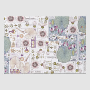 Tissue paper Franse Art Nouveau Waterlily Flowers Tissuepapier