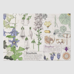 Tissue paper French Art Nouveau Foxglove Flowers Tissuepapier