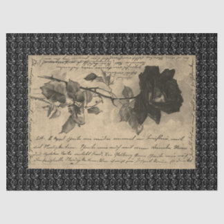 Tissue Paper HALLOWEEN BLACK ROOS Tissuepapier