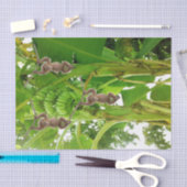 Tissue Paper Monkey Rope Bananenboom Tissuepapier (Craft)