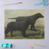 Tissue paper  Retrievers Tissuepapier (Craft)