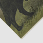 Tissue paper  Retrievers Tissuepapier (Detail)