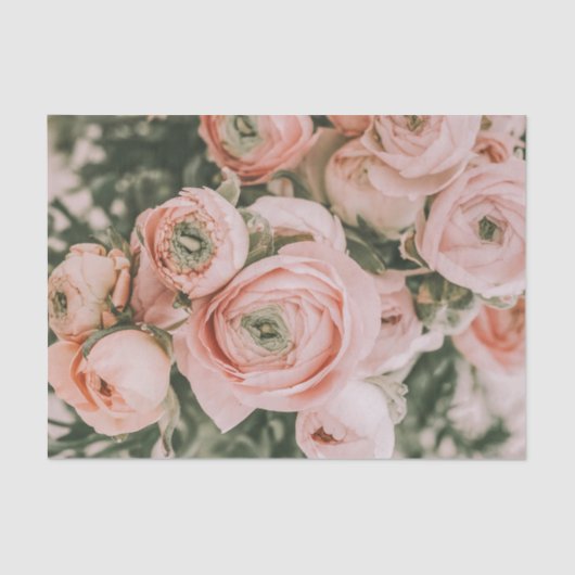 TISSUE PAPIER : BLOEMEN : PIJONROZES (Voorkant)