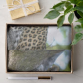 tissuepapier van boomluipaard (Geschenk)