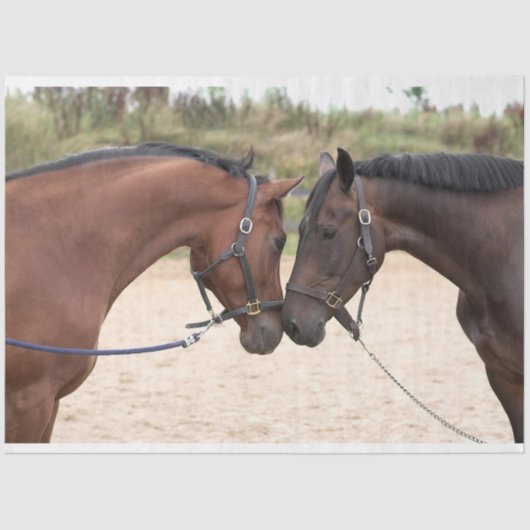 tissuepapier voor de paardenliefde (Voorkant)