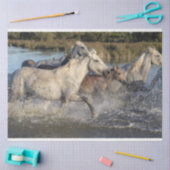 tissuepapier voor paarden (Craft)
