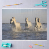 tissuepapier voor paardenbeslag (Craft)