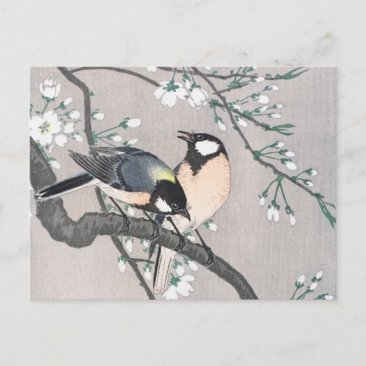 Tit on Cherry Branch  Briefkaart (Voorkant)