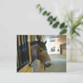 Titan Briefkaart (Staand voorkant)