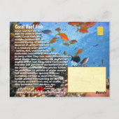 Titan Triggerfish, voor het kind, een humoristisch Briefkaart (Achterkant)