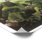 Titania, 1866  feilverf poster (Hoek)