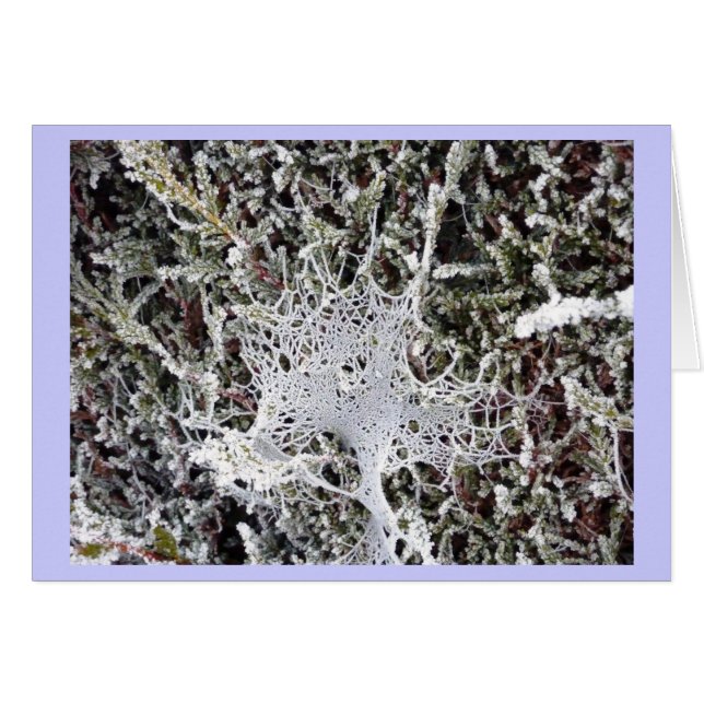 Titania's toespraak (Voorkant Horizontaal)