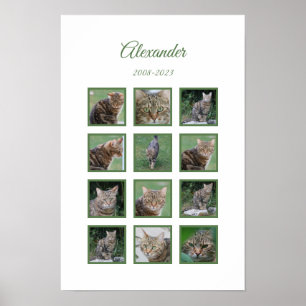 Titel:  Pet Memorial Poster