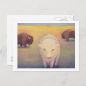 Titel: Soms - witte buffel Briefkaart (Voorkant / Achterkant)