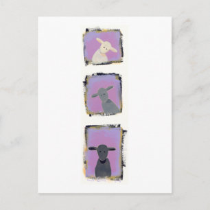 Titel: Witte schapen, grijze schapen, zwarte scha Briefkaart
