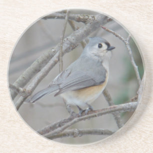 Titelmuis (Baeolophus bicolor) Zandsteen Onderzetter