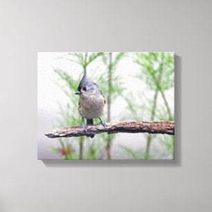 Titelmuis Canvas Afdruk