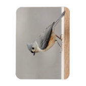 Titelmuis Magneet (Verticaal)