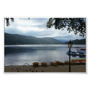 Titisee Meer Duitsland Poster