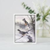  Titmouse - Robert Bruce Horsfall Briefkaart (Staand voorkant)