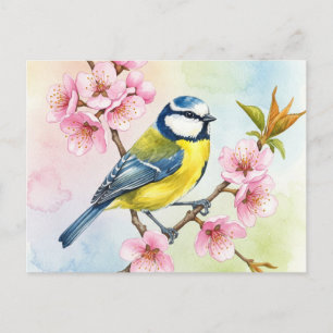 Titmouse, Sakura, Lente Briefkaart