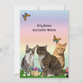 Tito, Taz, Annie Chat Carte Plat de voeux de Pâque (Dos)