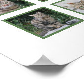 Titre : Affiche de deuil personnalisable pour anim (Coin)