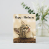 Titre de la carte de chaton à éditer (Debout devant)