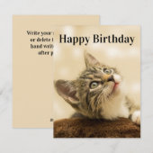 Titre de la carte de chaton à éditer (Devant / Derrière)