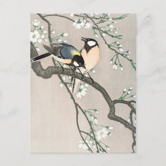 Tits op Cherry Branch - Ohara Koson -  kunst Briefkaart (Voorkant)