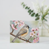 Titsouris, Sakura, carte postale du printemps (Debout devant)
