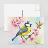 Titsouris, Sakura, carte postale du printemps (Devant / Derrière)