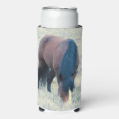 Titus Stallion Zuid Steens (Seltzer Voorkant)