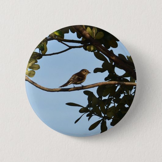 Tjiftjaf Ronde Button 5,7 Cm (Voorkant)