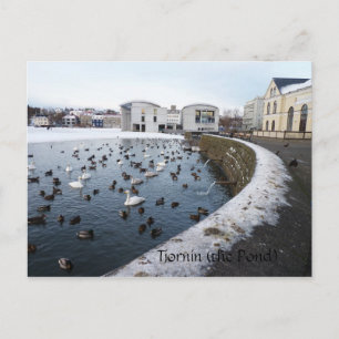 Tjornin (de Pond) ~ Reykjavik, IJsland Briefkaart