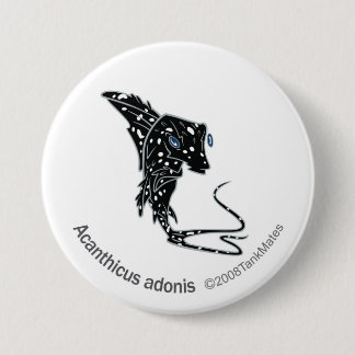 TM-09-Acanthicus adonis Ronde Button 7,6 Cm