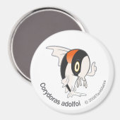 TM-11Corydoras adolfoi Magneet (Voorkant / Achterkant)