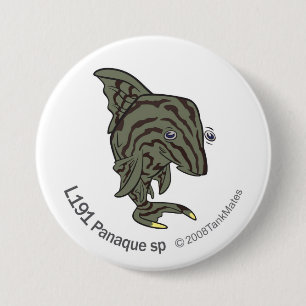 TM-13-L191 Panaque sp. Ronde Button 7,6 Cm