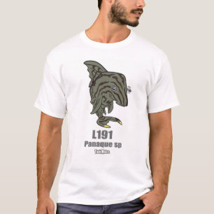 TM-13-L191 Panaque sp. T-shirt