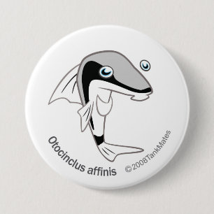 TM-15-Otacinclus affinis Ronde Button 7,6 Cm