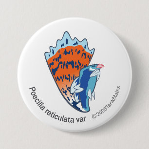 TM-16-Poecilia reticulata var Ronde Button 7,6 Cm