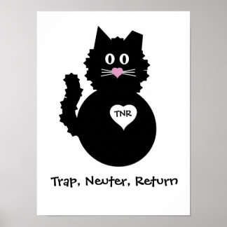 TNR - Fuzzy Kat Poster
