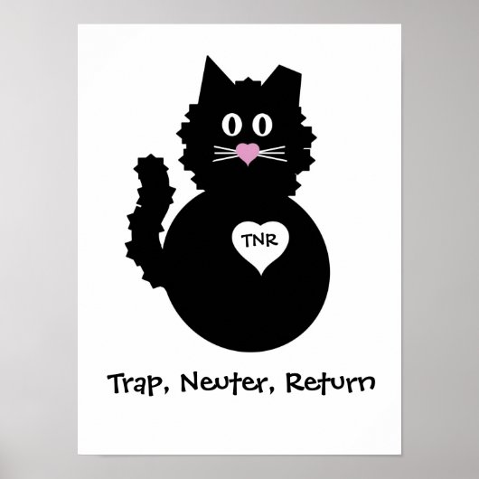 TNR - Fuzzy Kat Poster (Voorkant)