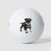 To Cute Puppy Miniature Schnauzer Dog Golfballen (Voorkant)