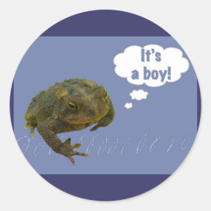 Toad C'est un garçon ! Nouveau Stickers Bébé