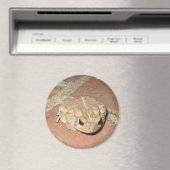 Toad Frog Magnet Magneet (Insitu (Vaatwasser))