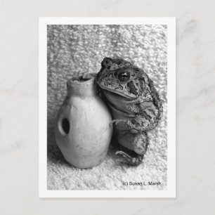Toad kikker met slagfoto briefkaart