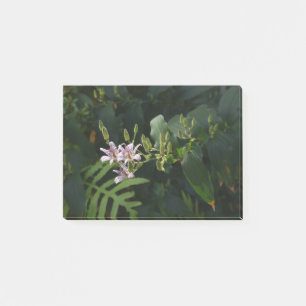 Toad Lily in de schijnwerpers. Post-it® Notes