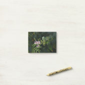 Toad Lily in de schijnwerpers. Post-it® Notes (Op bureau)